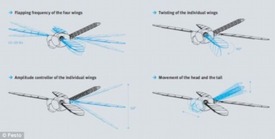 德研制出手机可操控的机器蜻蜓(图)