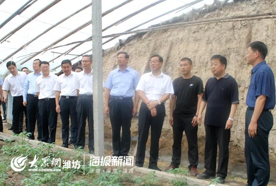 杨东奇调研寿光稻田 高度评价防汛排涝管道工程