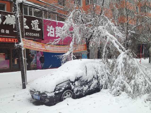 黑龙江鹤岗迎来50年一遇暴雪