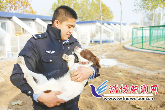 潍坊寿光市公安局21头警犬小有名气 各有绝活