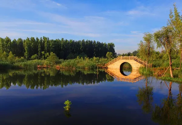 潍坊市共有15个湿地公园 全中国绝无仅有