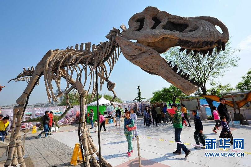 潍坊青州趣味横生仿真恐龙展 再现侏罗纪公园