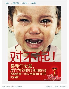 博鱼中国加多宝“对不起”王老吉系列广告火速走红网络(图2)