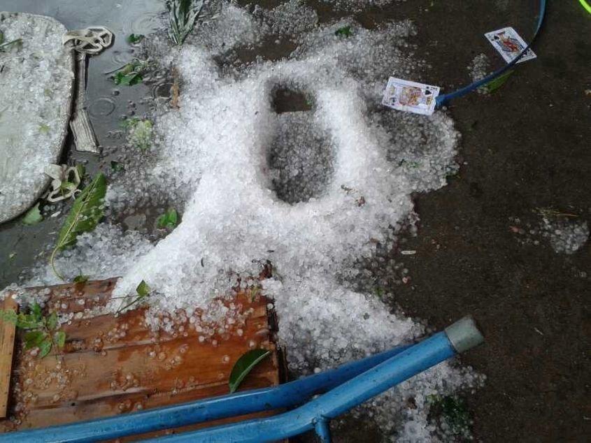 冰雹砸死人图片