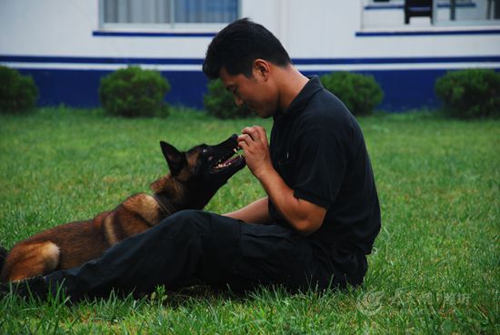 丹心铸盾 记寿光市警犬基地训导员的别样生活