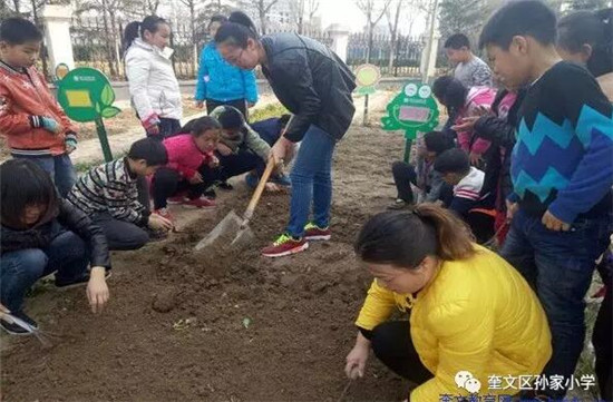奎文孙亚新体育家小学实践种植课让孩子快乐成长(图1)