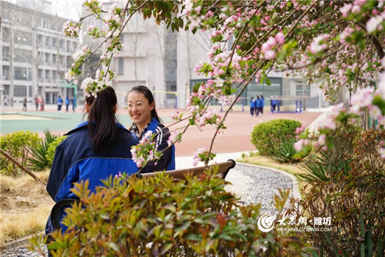 走进潍坊中学 逐梦青春绽芳华