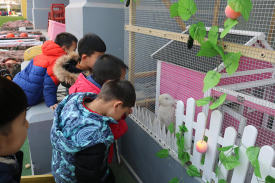 小兔搬新家啦濰坊高新區臥龍幼兒園飼養角小兔搬新家啦